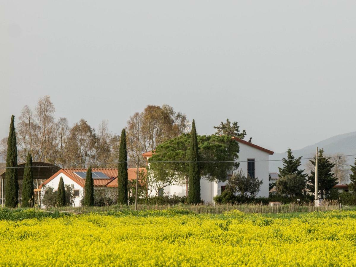 B&B Podere684 Grosseto Kültér fotó